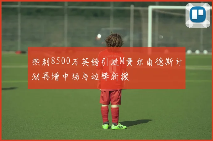 热刺8500万英镑引进M费尔南德斯计划再增中场与边锋新援