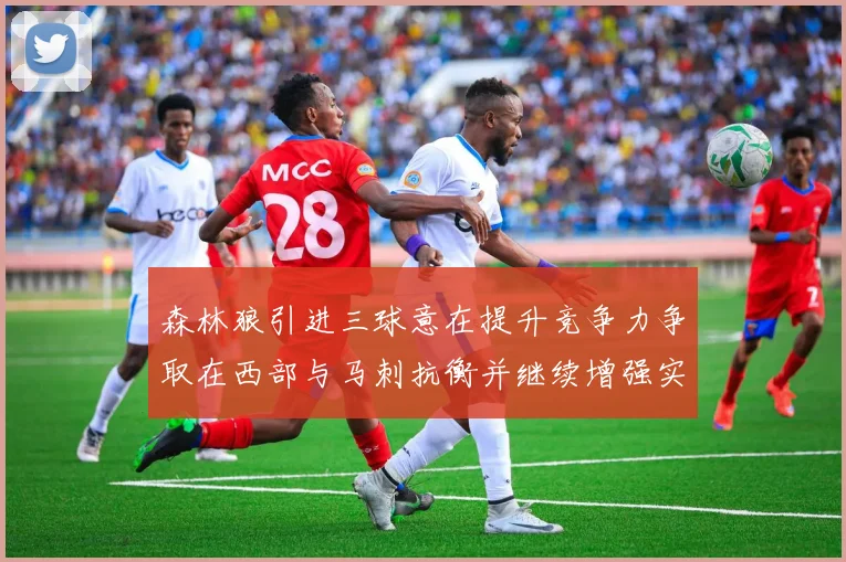 森林狼引进三球意在提升竞争力争取在西部与马刺抗衡并继续增强实力
